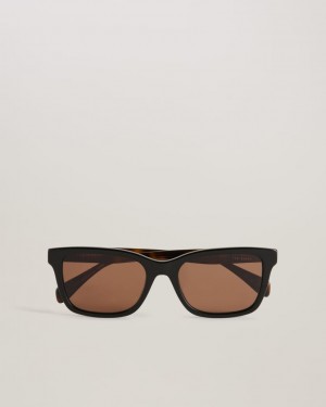Men's Ted Baker Domine Classic Square Frame Sunglasses Black India | PWZ-9149