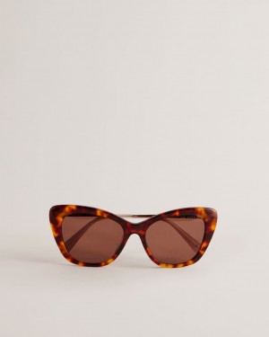 Women's Ted Baker Bllha Cat Eye Tortoiseshell Frame Sunglasses Brown India | QQD-5738