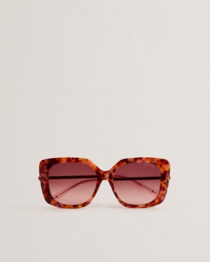 Women's Ted Baker Sunnlle Oversized Tortoiseshell Cat Eye Sunglasses Brown India | YCO-1609