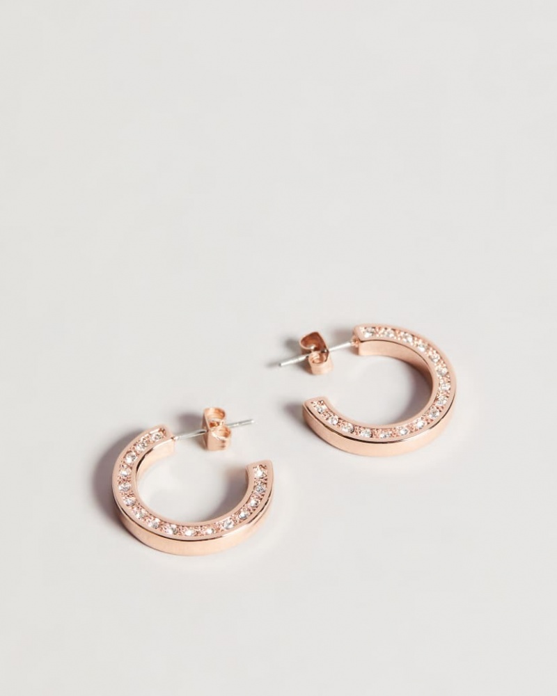 Women\'s Ted Baker Senatta Crystal Hoop Earrings Rose Gold India | XUL-6495